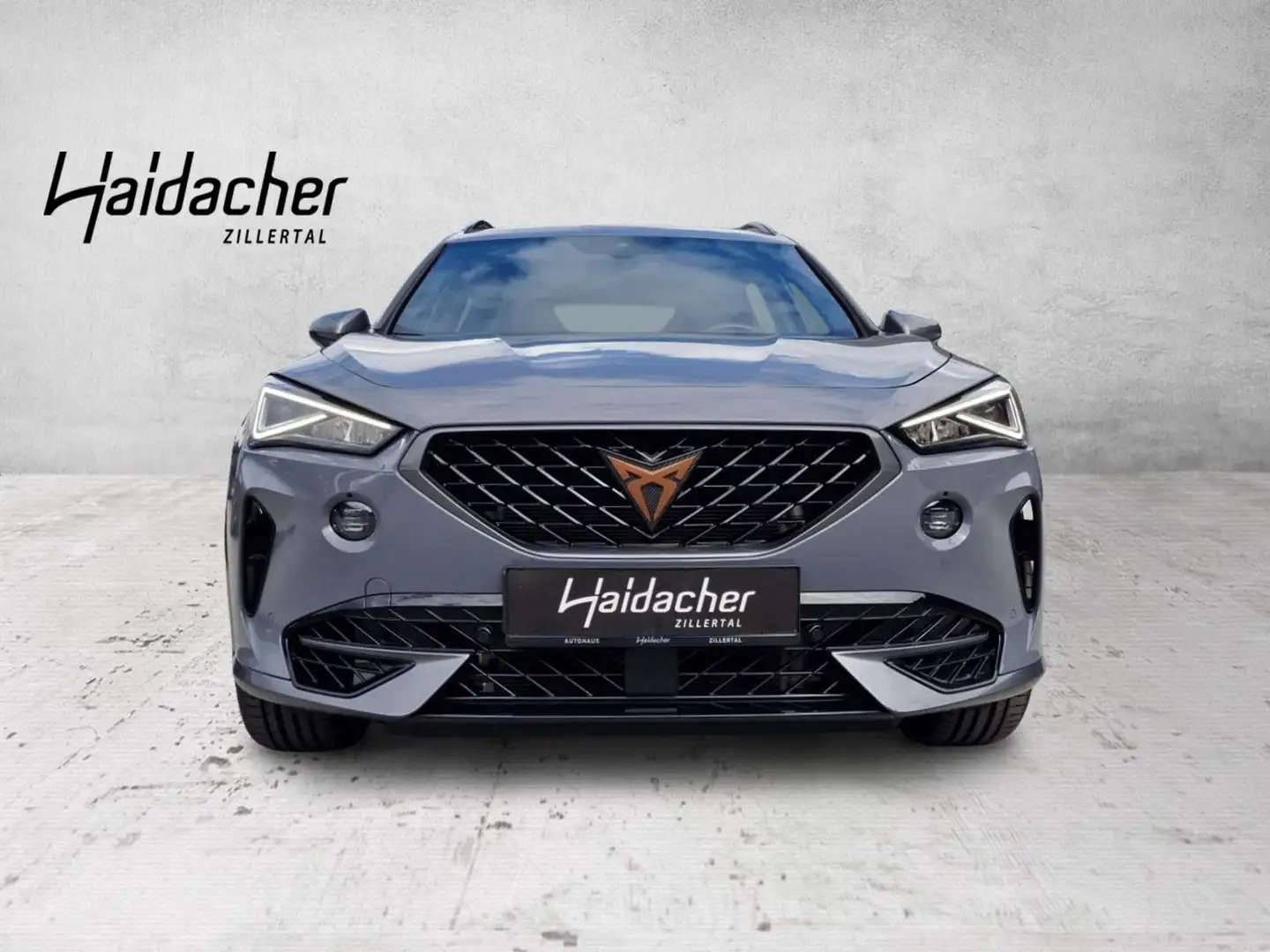 CUPRA Formentor VZ 2.0 TSI 4Drive DSG Distr Navi RKam Gris - 2