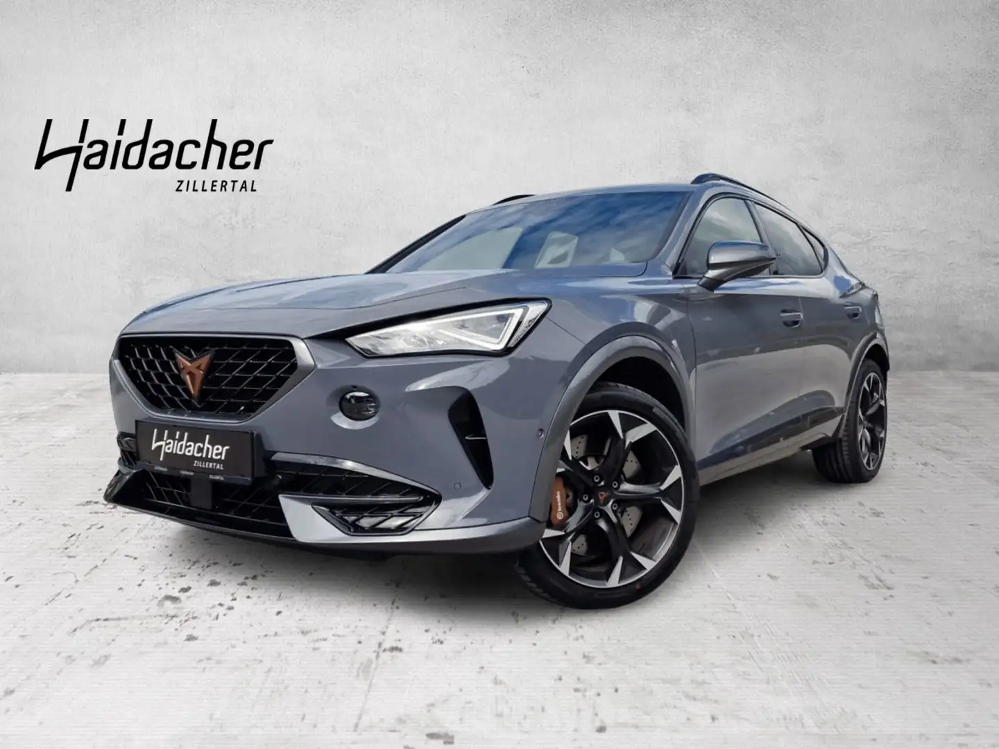 CUPRA Formentor VZ 2.0 TSI 4Drive DSG Distr Navi RKam Gris - 1