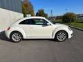 Volkswagen New Beetle Blanc - thumbnail 6