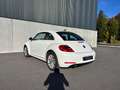 Volkswagen New Beetle Blanc - thumbnail 3