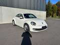 Volkswagen New Beetle Blanc - thumbnail 7
