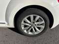 Volkswagen New Beetle Blanc - thumbnail 12