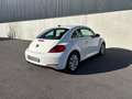 Volkswagen New Beetle Blanc - thumbnail 5