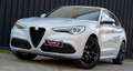 Alfa Romeo Stelvio 2.2 Q4 VELOCE  210cv auto BIANCO LUNARE Weiß - thumbnail 2