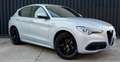 Alfa Romeo Stelvio 2.2 Q4 VELOCE  210cv auto BIANCO LUNARE Weiß - thumbnail 6