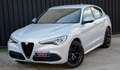 Alfa Romeo Stelvio 2.2 Q4 VELOCE  210cv auto BIANCO LUNARE Weiß - thumbnail 4