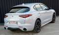 Alfa Romeo Stelvio 2.2 Q4 VELOCE  210cv auto BIANCO LUNARE Weiß - thumbnail 3