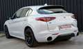 Alfa Romeo Stelvio 2.2 Q4 VELOCE  210cv auto BIANCO LUNARE Weiß - thumbnail 5