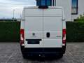 Peugeot Boxer Kasten Hochraum 335 L3H2 Premium Weiß - thumbnail 6