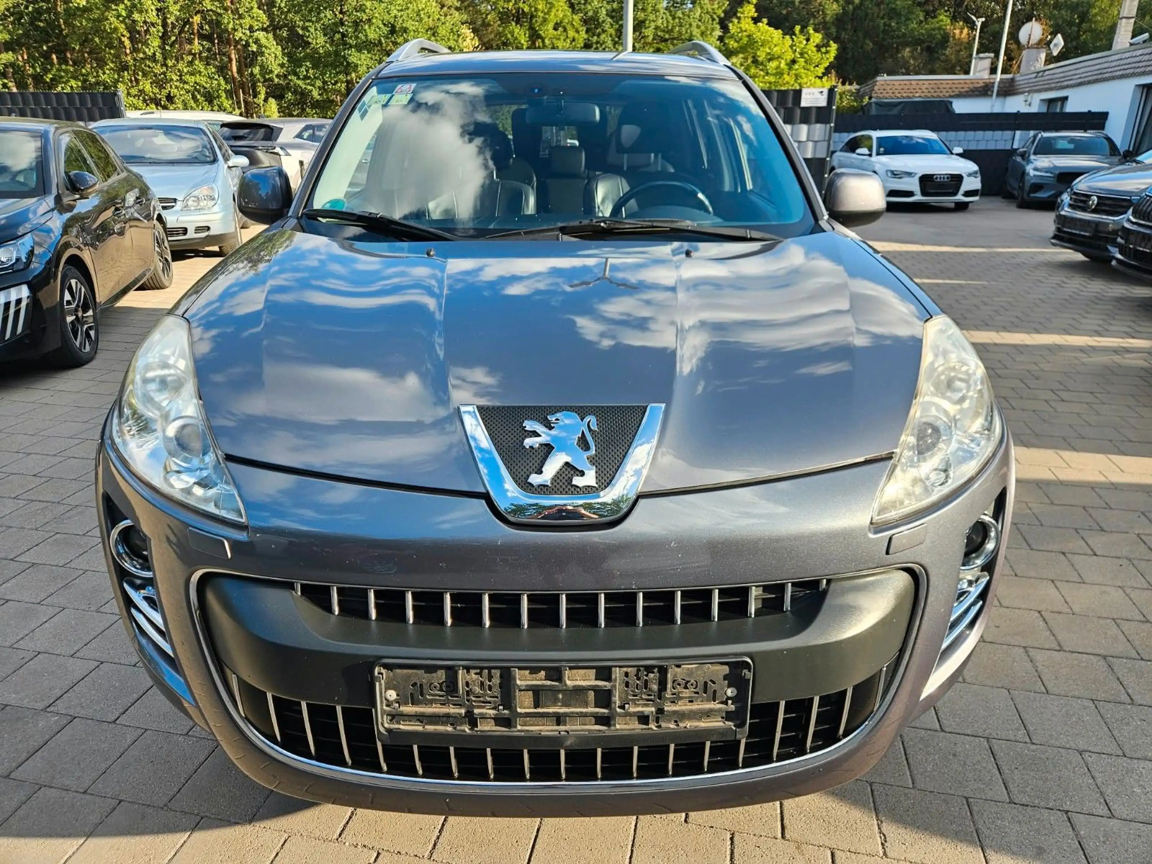 Peugeot 4007 Platinum — photo 8