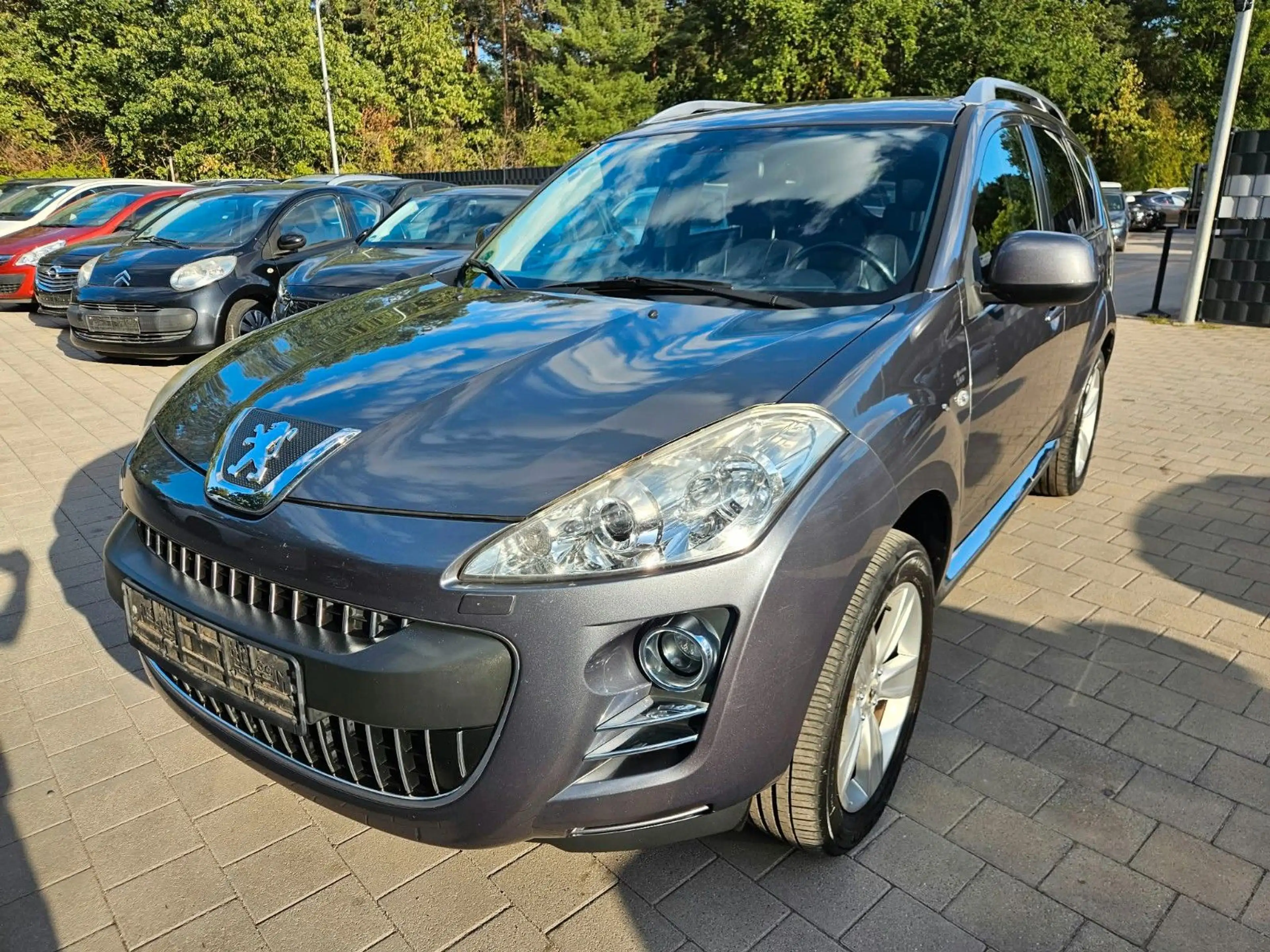 Peugeot 4007 Platinum — photo 7