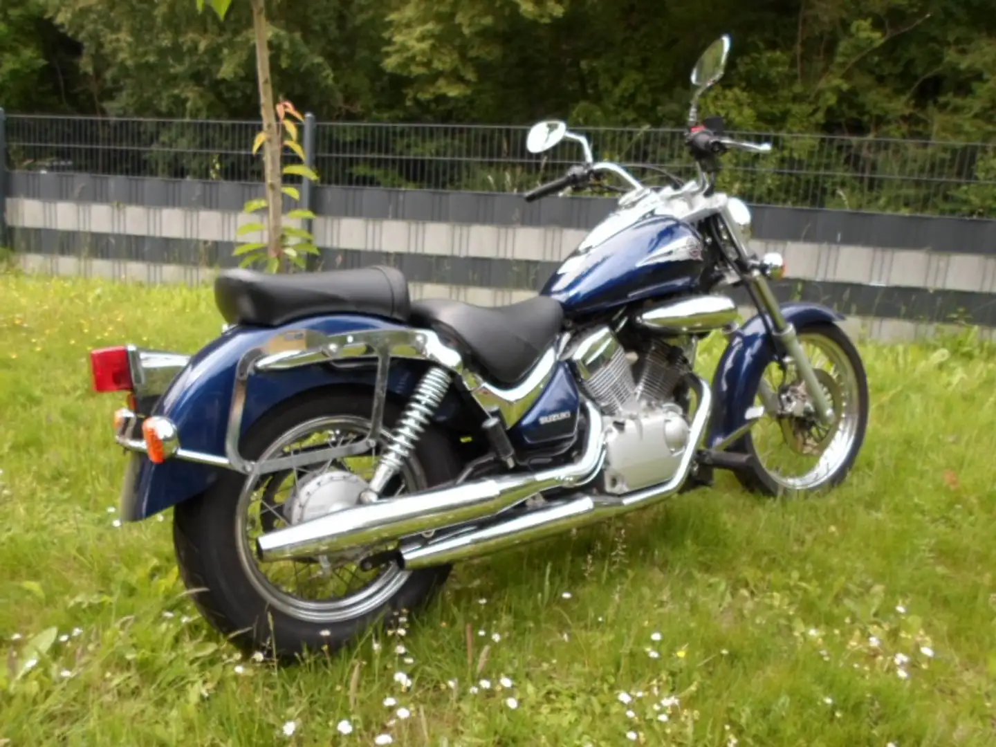 Suzuki VL 125 Intruder Blau - 2