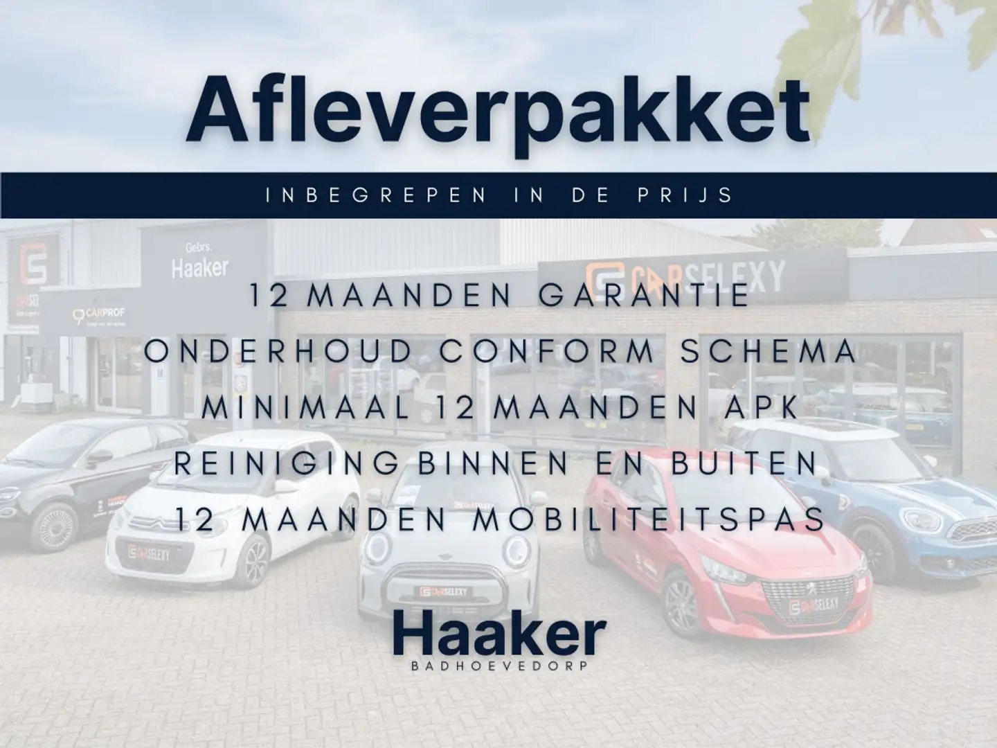 MINI Cooper Countryman Mini 2.0 ALL4 * Leer * open dak * PHEV Blau - 2