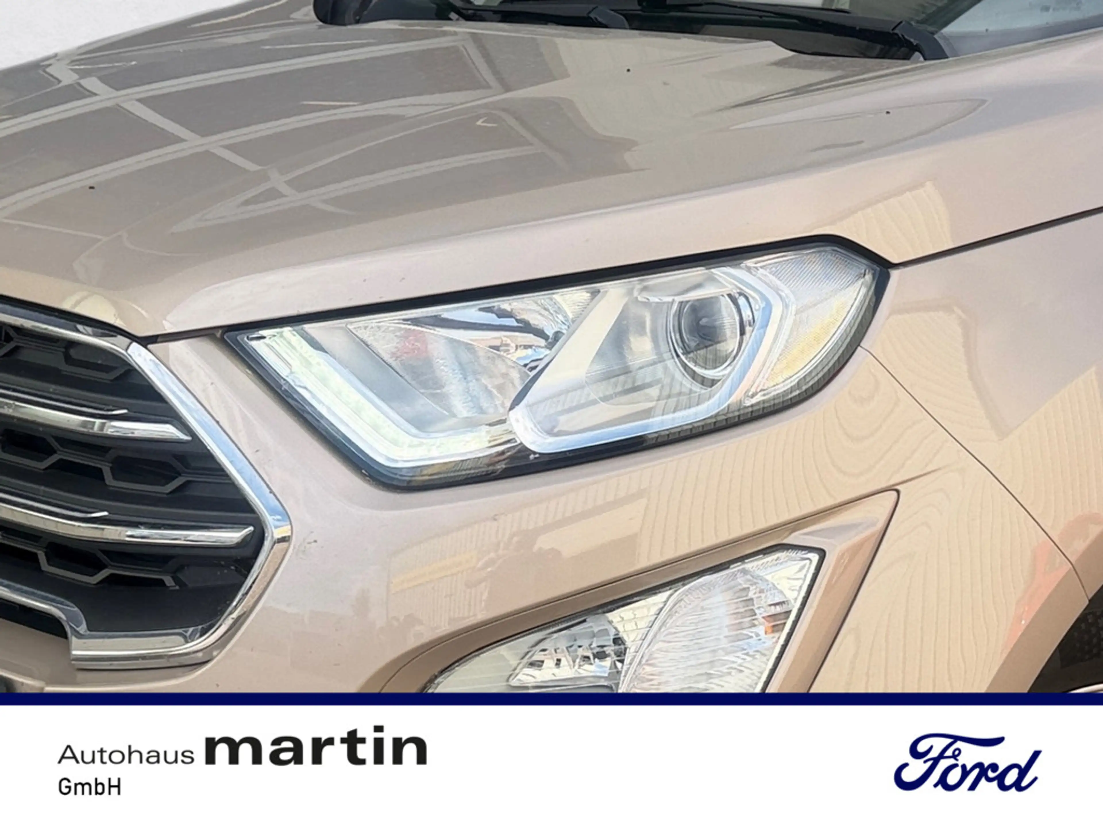 Ford EcoSport 1.0 Titanium PDC SHZ KAMERA NAVI AHK — photo 9