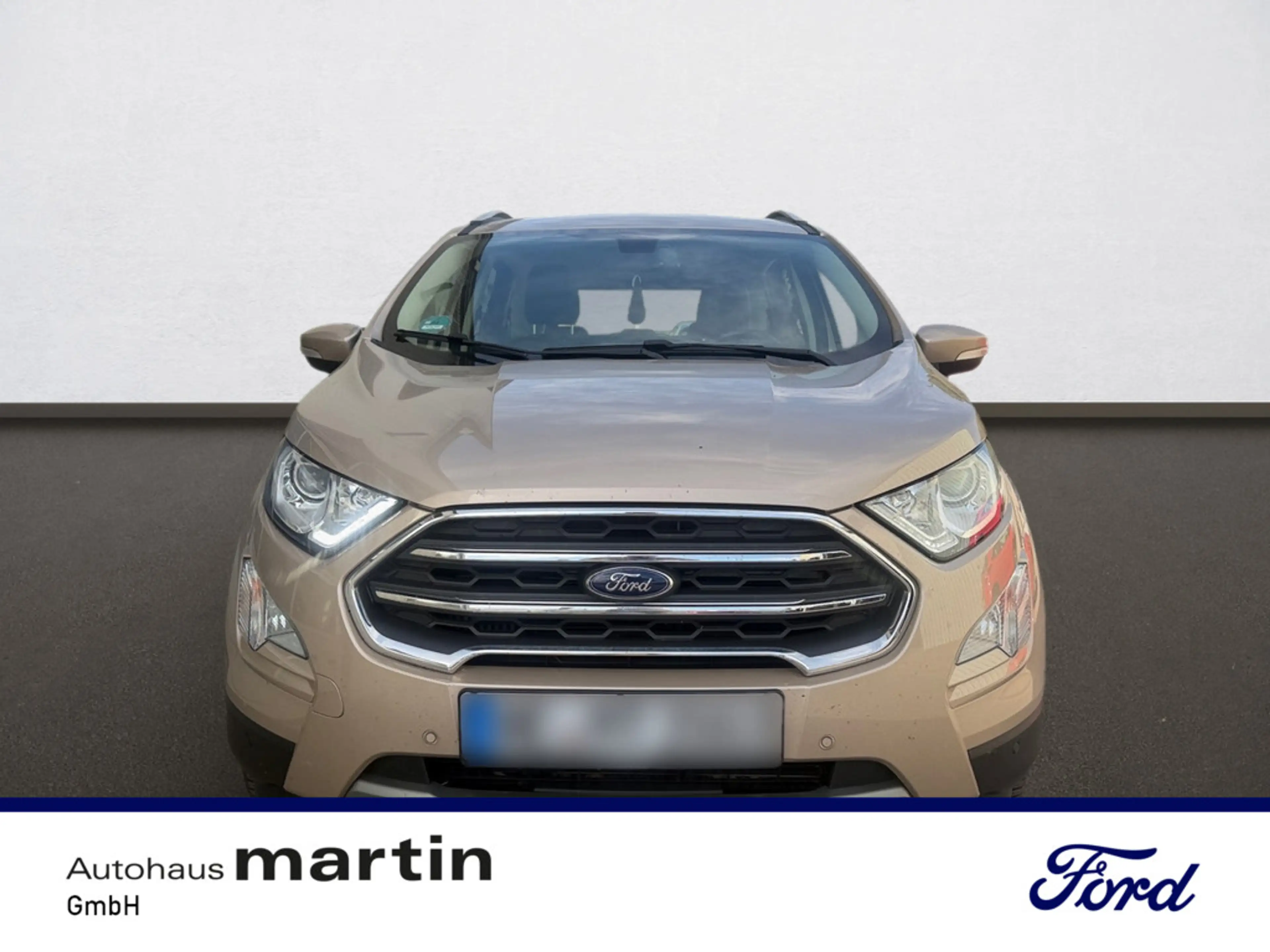 Ford EcoSport 1.0 Titanium PDC SHZ KAMERA NAVI AHK — photo 5