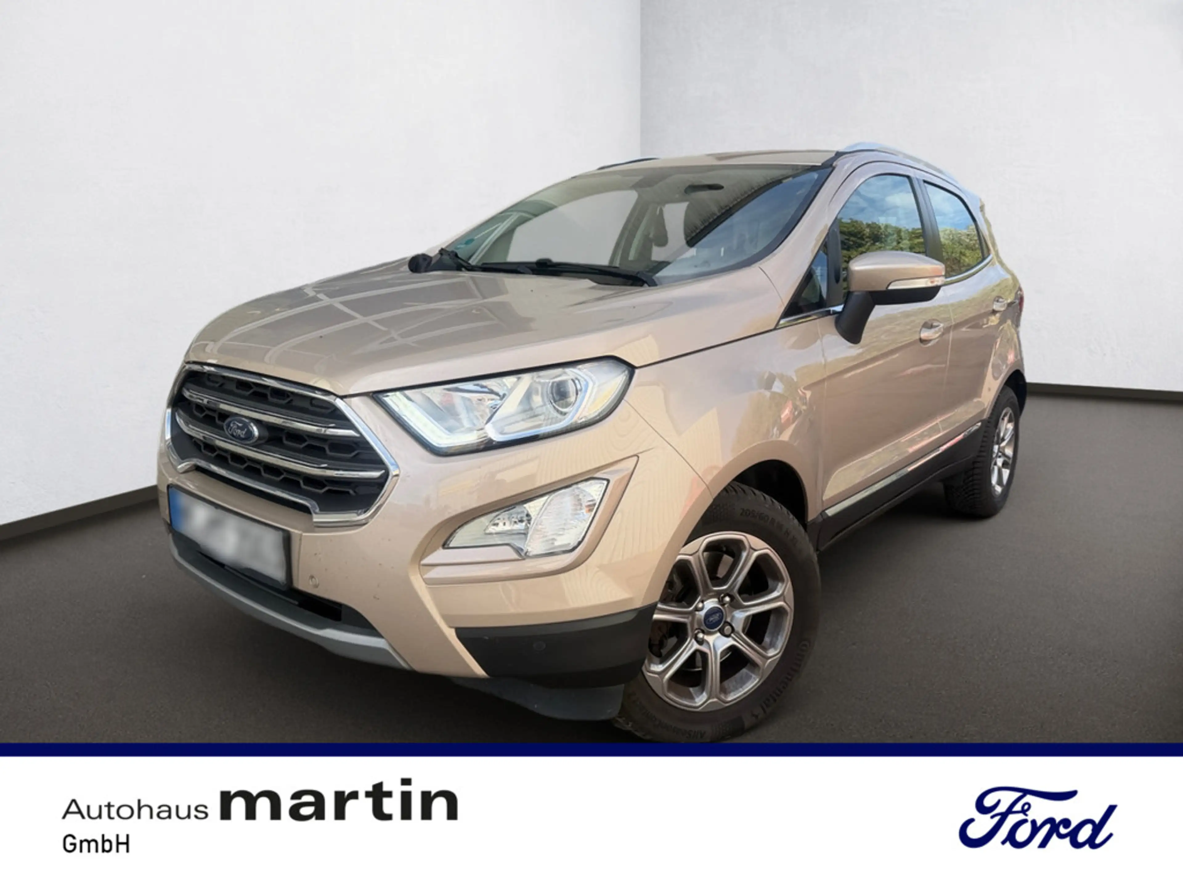 Ford EcoSport 1.0 Titanium PDC SHZ KAMERA NAVI AHK