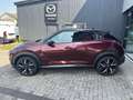 Nissan Juke N-Design Bose 360 Kamera LED ACC Apple CarPlay Kli Schwarz - thumbnail 3