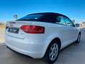 Audi A3 1.6TDI Ambition S-Tronic Blanco - thumbnail 14