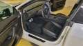 Tesla Model 3 Model 3 PERFORMANCE 2022 82Kw BATTERIA NUOVA Bianco - thumbnail 8