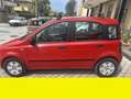 Fiat Panda - thumbnail 2