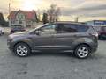 Ford Kuga ST-Line  / Navi / Bi-Xenon / Sony Grau - thumbnail 6