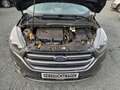 Ford Kuga ST-Line  / Navi / Bi-Xenon / Sony Grau - thumbnail 15