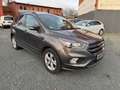 Ford Kuga ST-Line  / Navi / Bi-Xenon / Sony Grau - thumbnail 1