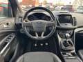 Ford Kuga ST-Line  / Navi / Bi-Xenon / Sony Grau - thumbnail 10