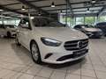 Mercedes-Benz B 250 B 250 4M Kamera360,AHK,Memory,MBUX,LED,Distronic Bianco - thumbnail 3