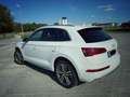 Audi Q5 Q5 Diesel 2.0 TDI quattro S tronic Weiß - thumbnail 5