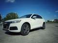 Audi Q5 Q5 Diesel 2.0 TDI quattro S tronic Weiß - thumbnail 2