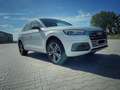 Audi Q5 Q5 Diesel 2.0 TDI quattro S tronic Weiß - thumbnail 6
