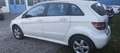 Mercedes-Benz B 200 B 200 (245.233) Blanc - thumbnail 4