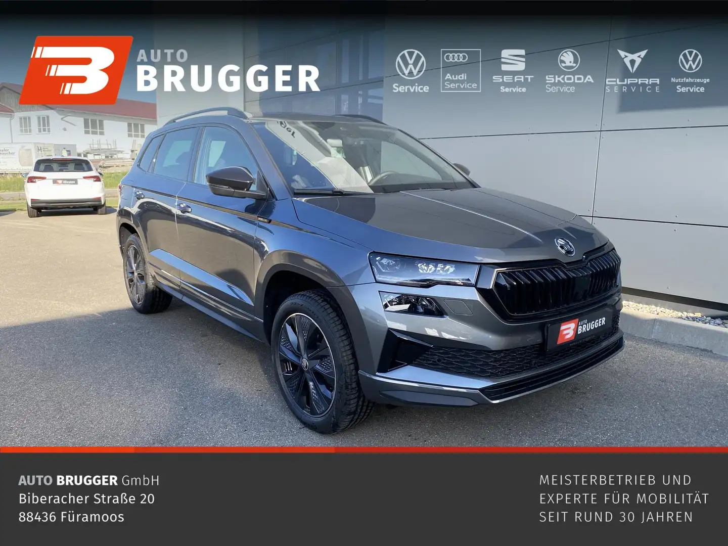 Skoda Karoq 2.0 TDI DSG 4x4 SPORTLINE RFK NAVI MATRIX Grau - 1