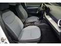 SEAT Ibiza Xcellence Wit - thumbnail 10