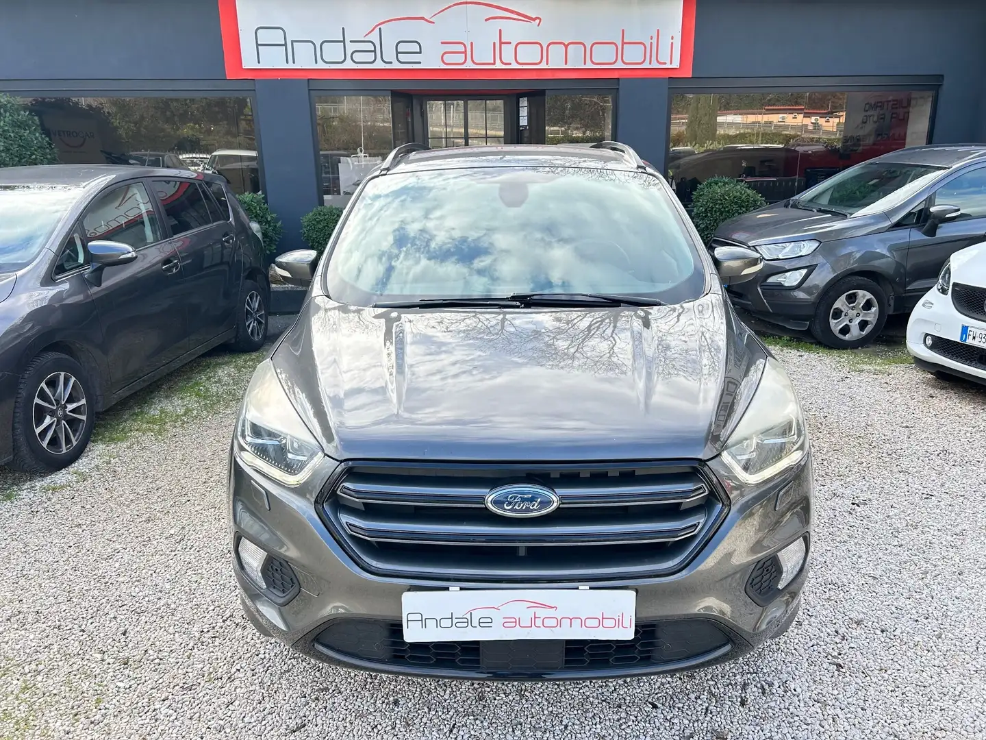 Ford Kuga 2.0 TDCI 4WD Powershift ST-Line FULL Grigio - 2