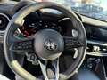 Alfa Romeo Stelvio 2.0 Turbo 16V AT8-Q4 Veloce Grau - thumbnail 18