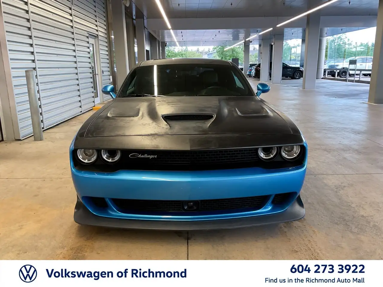 Dodge Challenger fotografie Dodge Challenger