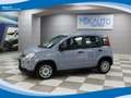 Fiat Panda Hybrid 1.0 FireFly 70cv EU6 Grau - thumbnail 1