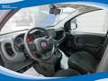 Fiat Panda Hybrid 1.0 FireFly 70cv EU6 Grau - thumbnail 2