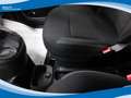 Fiat Panda Hybrid 1.0 FireFly 70cv EU6 Grau - thumbnail 8