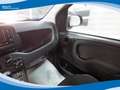 Fiat Panda Hybrid 1.0 FireFly 70cv EU6 Grau - thumbnail 9