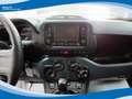 Fiat Panda Hybrid 1.0 FireFly 70cv EU6 Grau - thumbnail 5