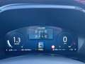 Ford Kuga ST-Line X 1.5 *ACC*B&O*Totwinkel*360 ACC* Schwarz - thumbnail 12