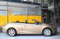 Opel Cascada Innovation AT Sitz- & Lenkradhzg BiXenon Gold - thumbnail 3