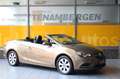Opel Cascada Innovation AT Sitz- & Lenkradhzg BiXenon Gold - thumbnail 1