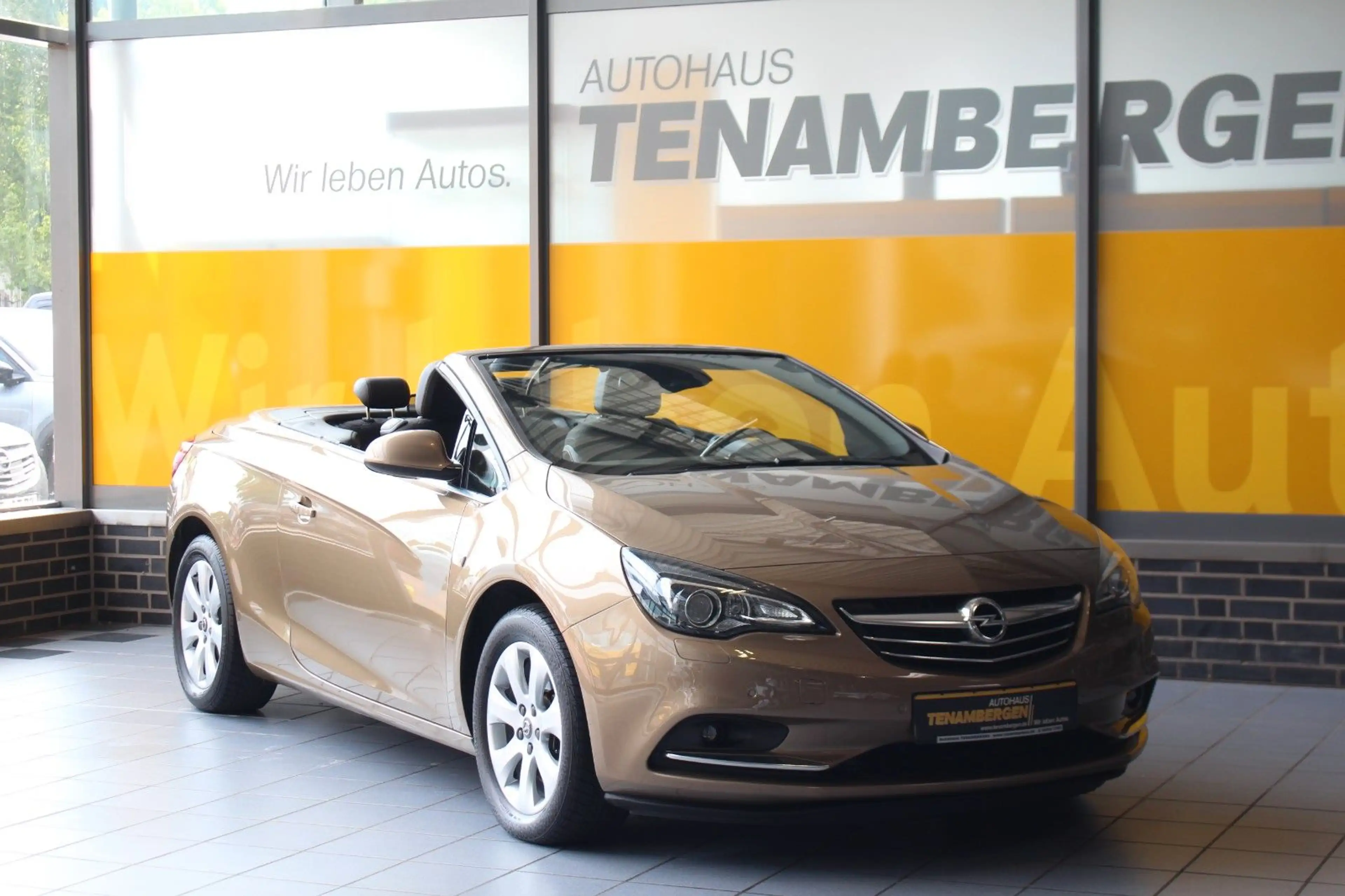 Opel Cascada Innovation AT Sitz- & Lenkradhzg BiXenon — photo 2