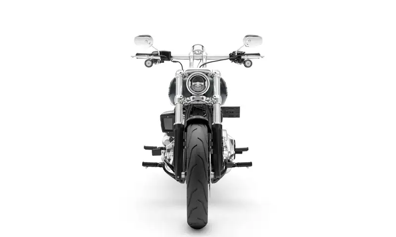 Harley-Davidson Softail - foto 3