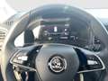 Skoda Karoq 4x4 Selection TDI DSG Schwarz - thumbnail 8