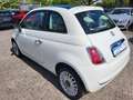 Fiat 500 1.2 Pop Weiß - thumbnail 3